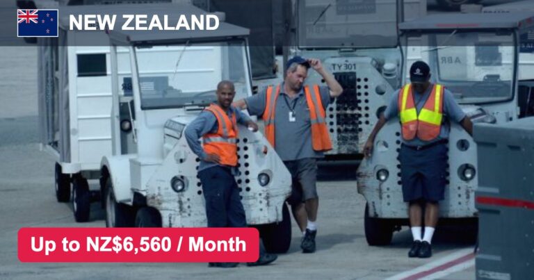 Airport Jobs in New Zealand – Salary, Benefits & Eligibility – Apply For Latest Vacancies