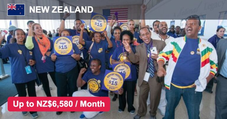Airport Jobs in New Zealand – Salary, Benefits & Eligibility – Apply For Latest Vacancies