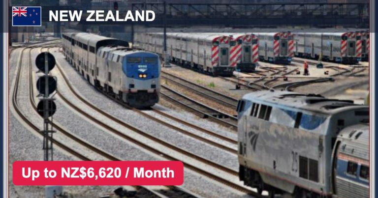 Metro Cleaning Jobs in New Zealand – Salary, Benefits & Eligibility – Apply For Latest Vacancies