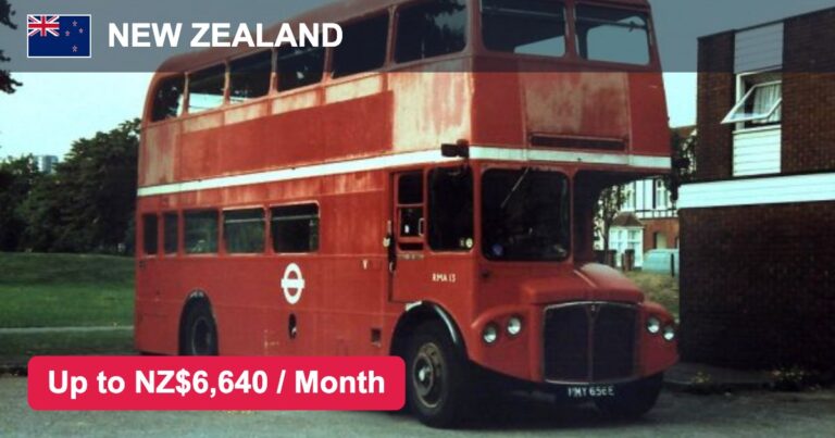 Hotel & Restaurant Jobs in New Zealand – Salary, Benefits & Eligibility – Apply For Latest Vacancies