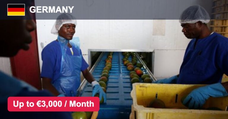 Juice Jobs in Germany – Salary, Benefits & Eligibility – Apply For Latest Vacancies