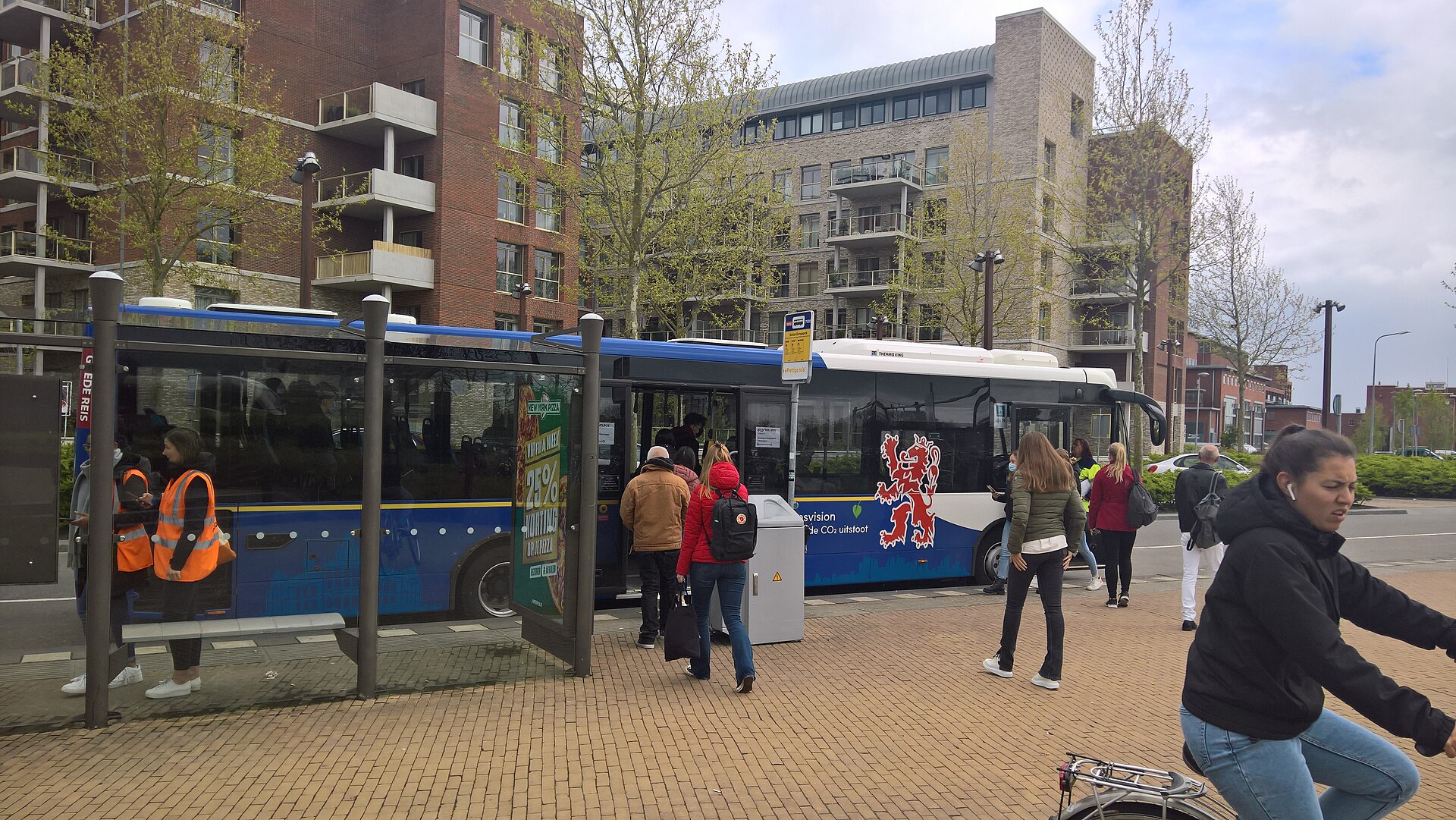 Bus Driver jobs in Netherlands — real workplace scene