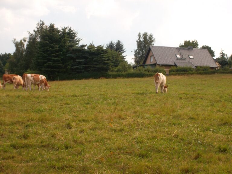 Dairy Farm Jobs in Germany – Farm Worker, Dairy Assistant & Dairy Production Careers